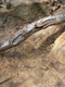 Fotogalerie Faszination Baum