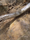 Fotogalerie Faszination Baum