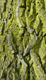 Fotogalerie Faszination Baum