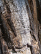 Fotogalerie Faszination Baum