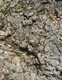 Fotogalerie Faszination Baum