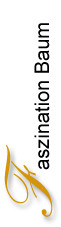 Galerie Faszination Baum
