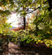 Herbstzauber