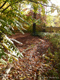 Herbstzauber