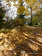 Herbstzauber