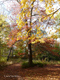 Herbstzauber