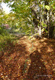 Herbstzauber