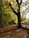 Herbstzauber