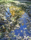 Herbstzauber