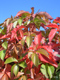 Herbstzauber