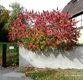 Herbstzauber