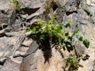 Fotogalerie Faszination Natur