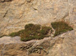 Fotogalerie Faszination Natur