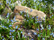 Fotogalerie Faszination Natur