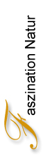 Galerie Faszination Natur