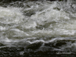 Faszination Wasser