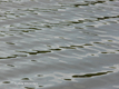 Faszination Wasser