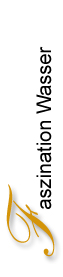 Galerie Faszination Wasser