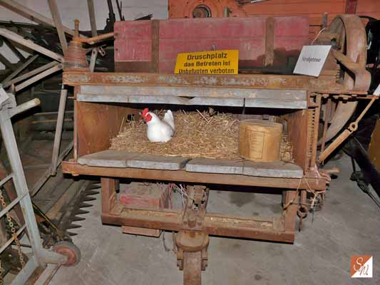 Bulldoghof Remler, Brandis, © Foto Sylvia Wentzlau