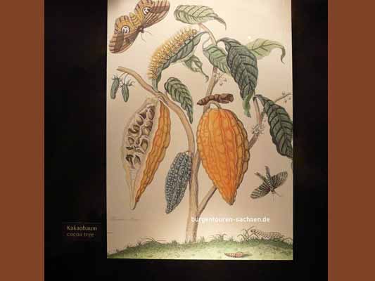 Halloren Schokoladenmuseum, © Foto Sylvia Wentzlau