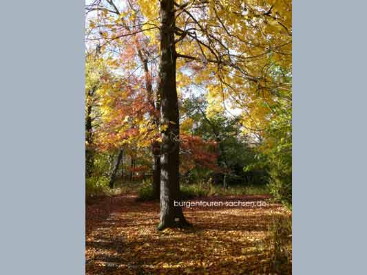 Botanischer Garten Leipzig