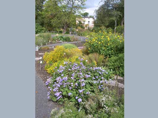 Botanischer Garten Leipzig