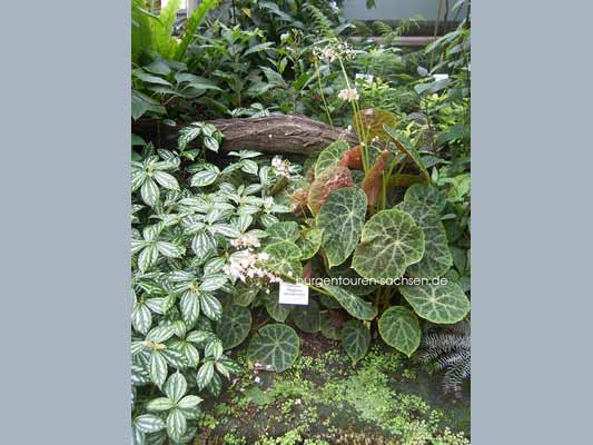 Botanischer Garten Leipzig