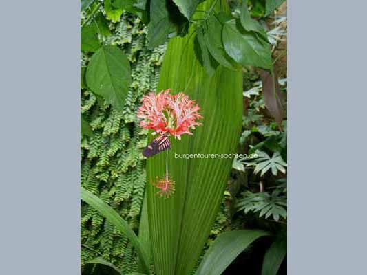 Botanischer Garten Leipzig