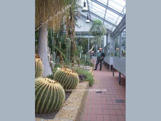 Botanischer Garten Leipzig