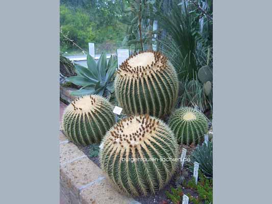 Botanischer Garten Leipzig