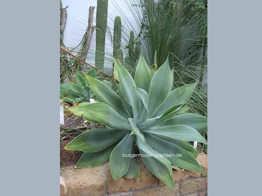 Botanischer Garten Leipzig