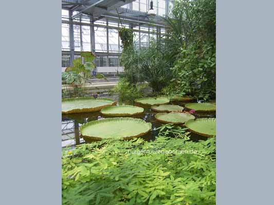 Botanischer Garten Leipzig