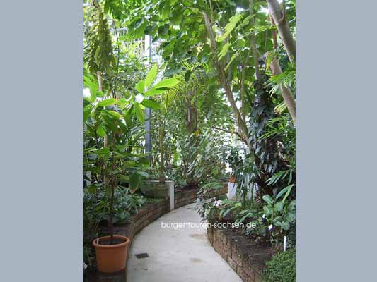 Botanischer Garten Leipzig