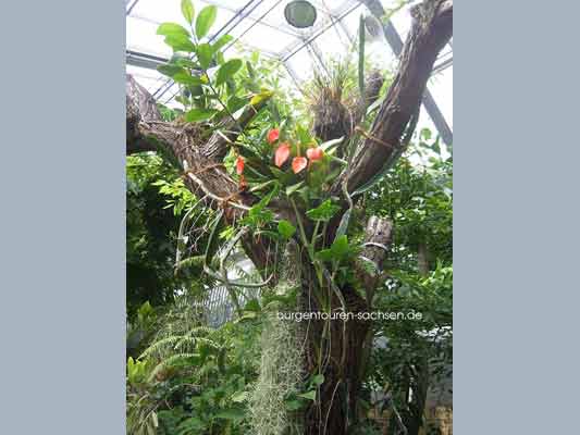 Botanischer Garten Leipzig