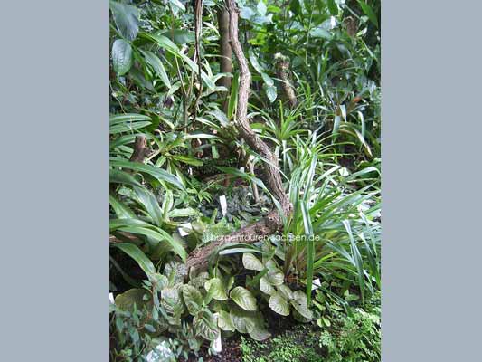 Botanischer Garten Leipzig