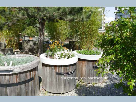 Duft- und Tastgarten Leipzig, © Foto Sylvia Wentzlau