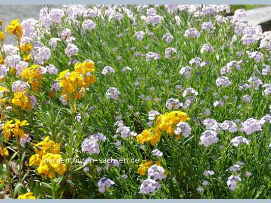 Duft- und Tastgarten Leipzig, © Foto Sylvia Wentzlau