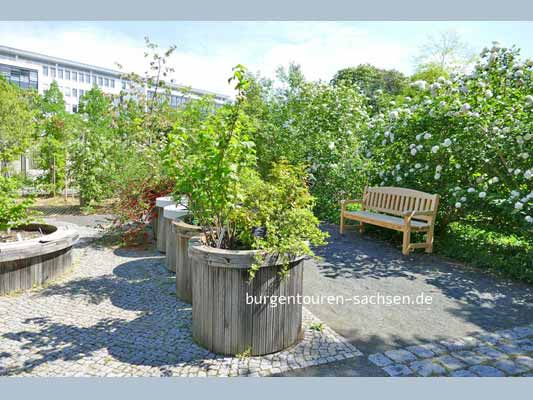 Duft- und Tastgarten Leipzig, © Foto Sylvia Wentzlau