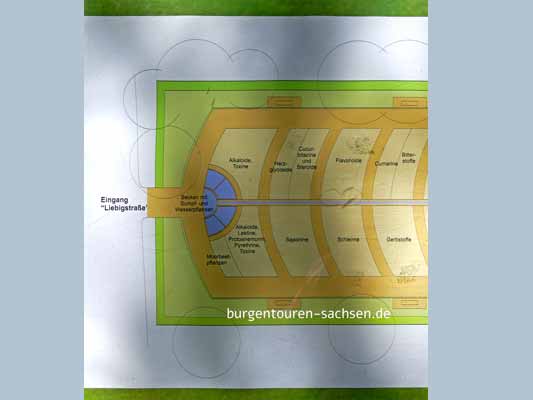 Apothekergarten Leipzig, © Foto Sylvia Wentzlau