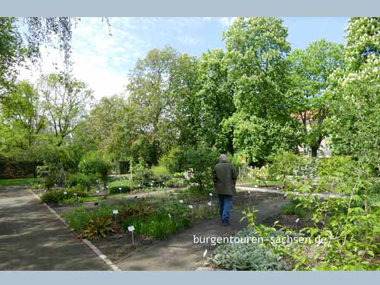 Apothekergarten Leipzig, © Foto Sylvia Wentzlau