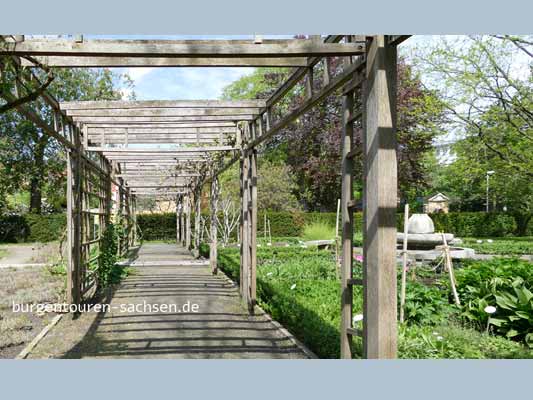 Apothekergarten Leipzig, © Foto Sylvia Wentzlau