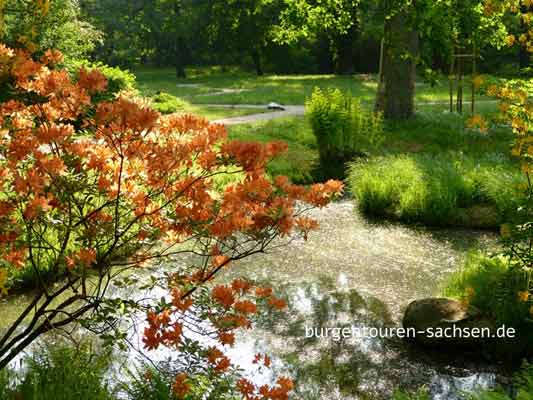 Schloss und Park Oranienbaum