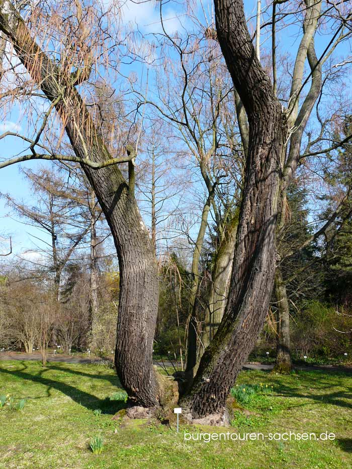 Botanischer Garten Leipzig