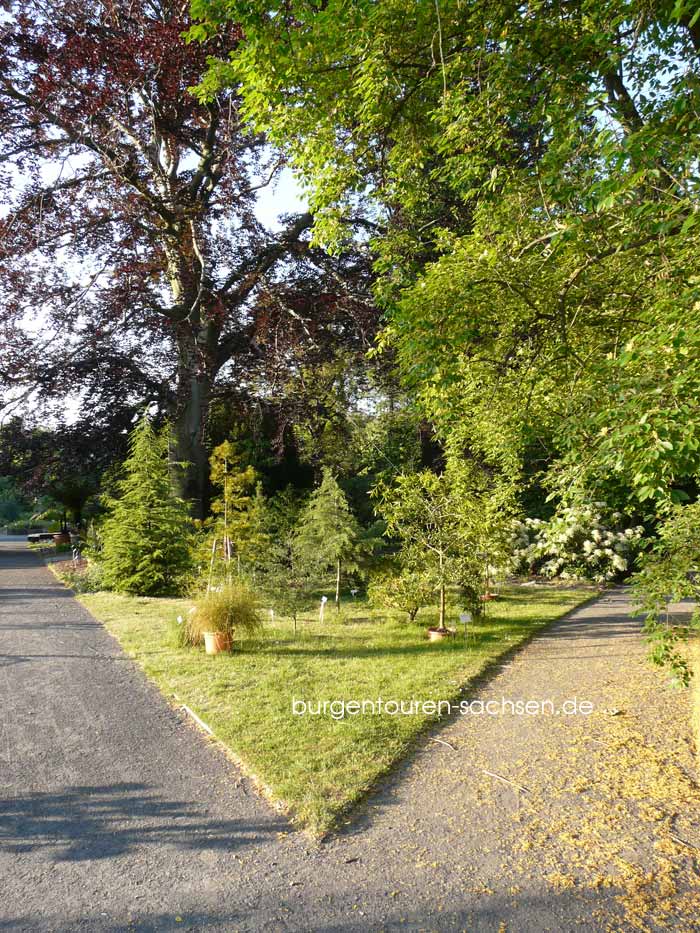 Botanischer Garten Leipzig