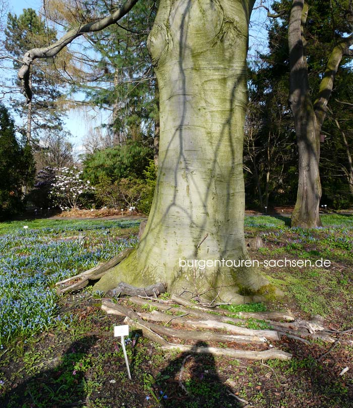 Botanischer Garten Leipzig