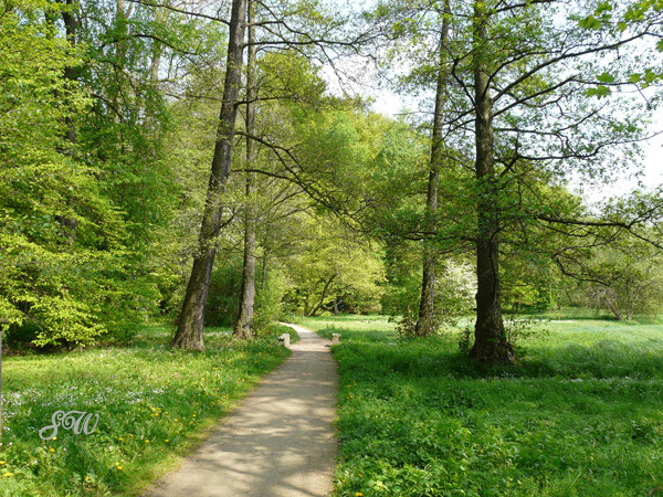 Landschaftsgarten Machern