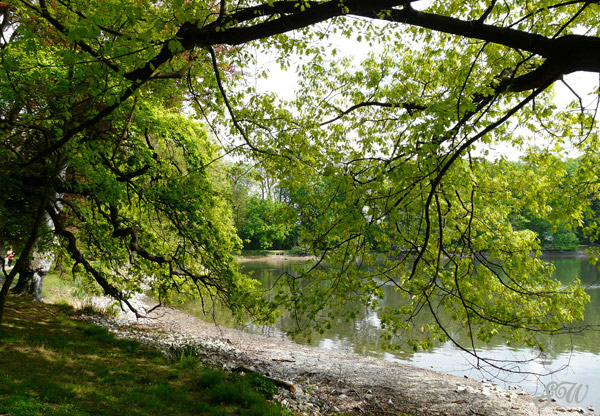 Landschaftsgarten Machern Landschaftsgarten Machern