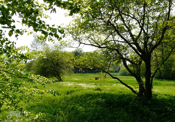Landschaftsgarten Machern Landschaftsgarten Machern