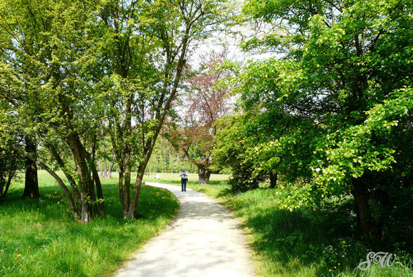 Landschaftsgarten Machern Landschaftsgarten Machern