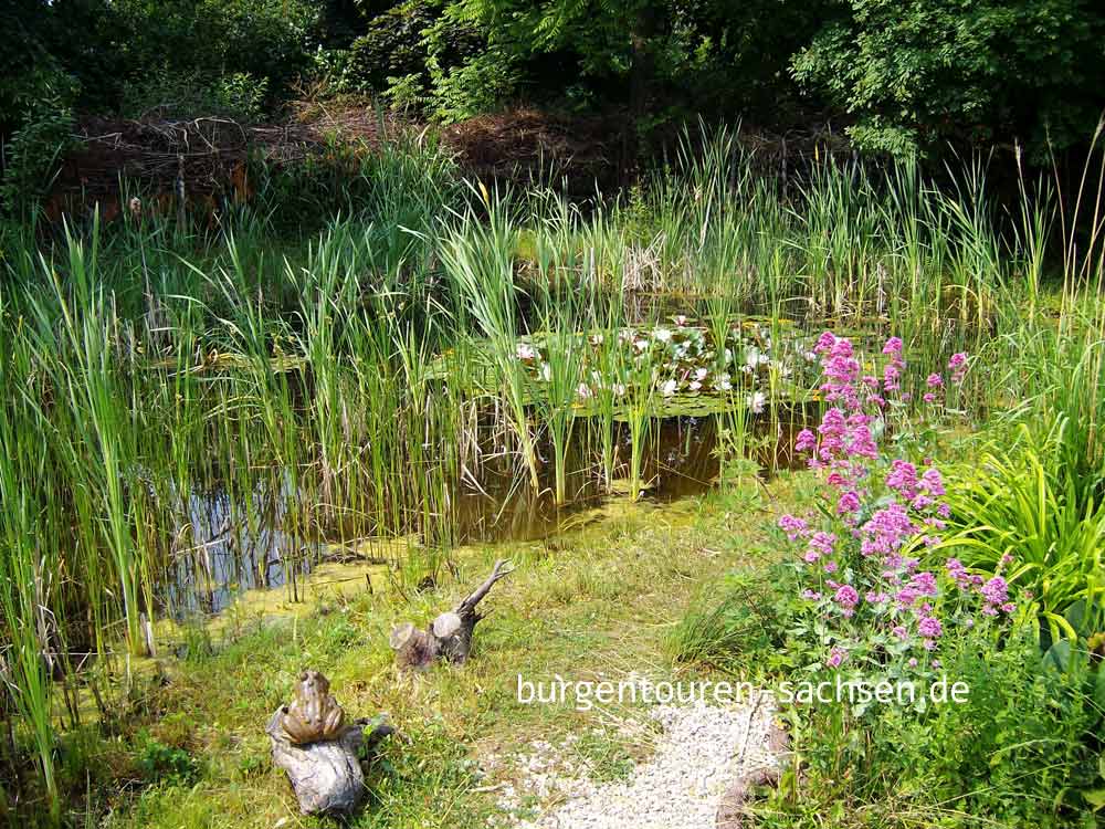 Botanischer Garten für Arznei- und Gewürzpflanzen Großpösna-Oberholz